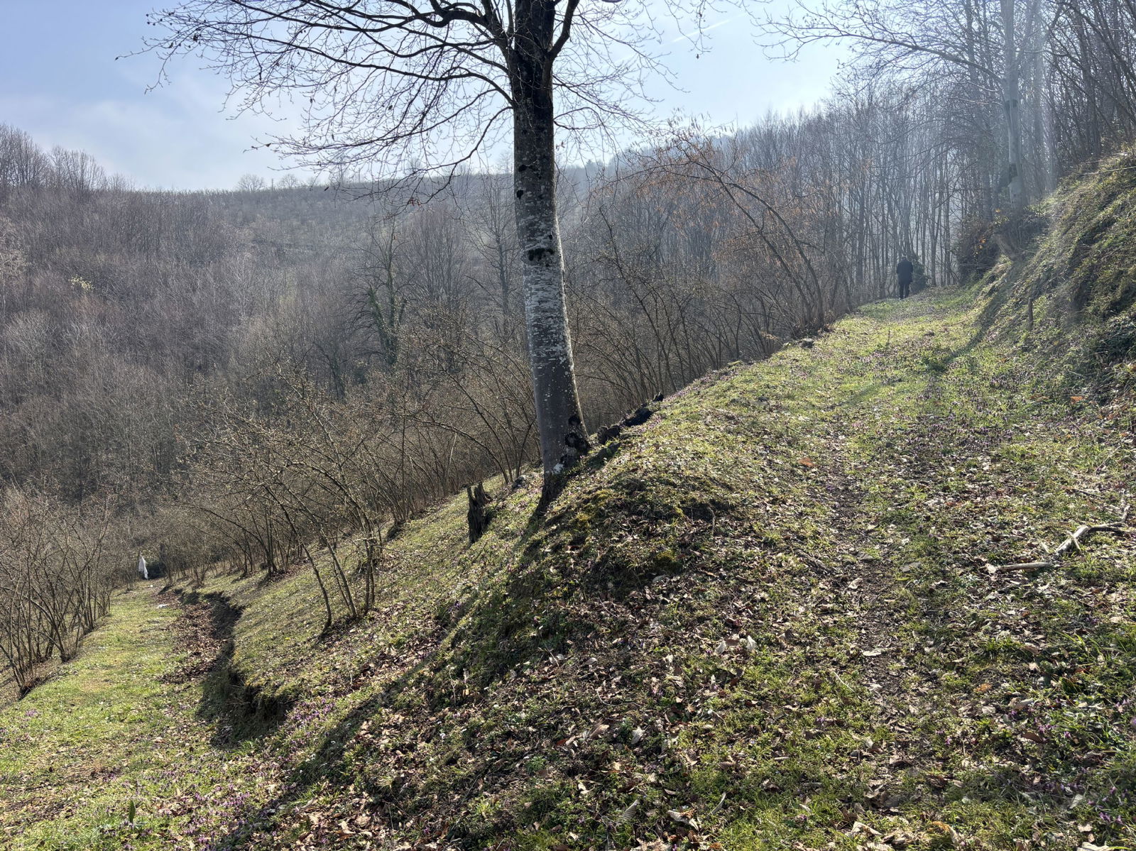 Satılık&nbsp;Arsa&nbsp;2,150,000&nbsp;TL