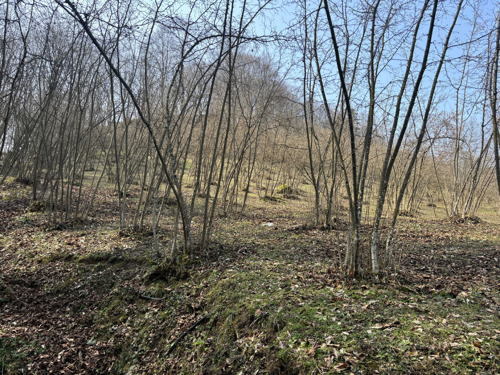 Satılık&nbsp;Arsa&nbsp;2,150,000&nbsp;TL