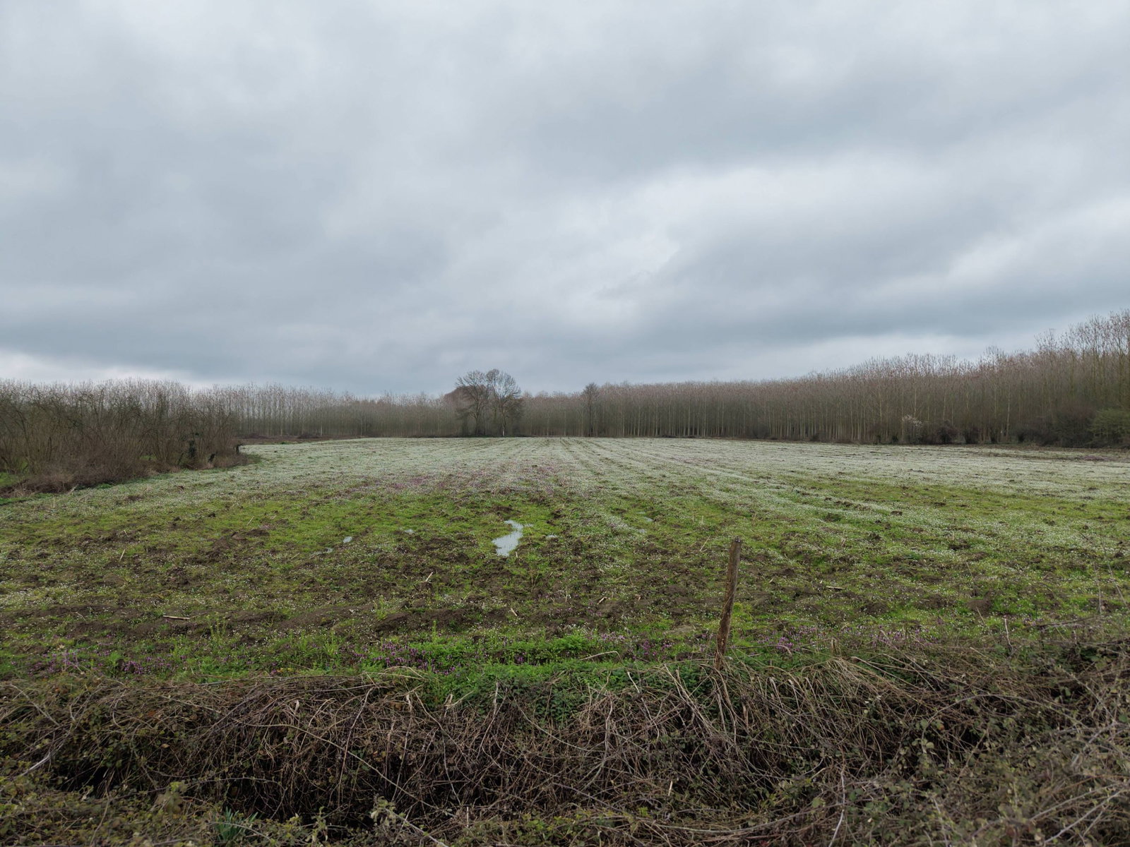 Satılık&nbsp;Arsa&nbsp;21,750,000&nbsp;TL