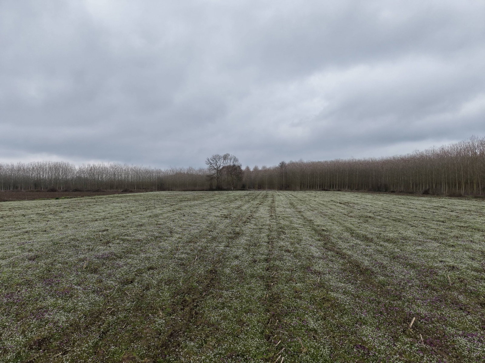 Satılık&nbsp;Arsa&nbsp;21,750,000&nbsp;TL