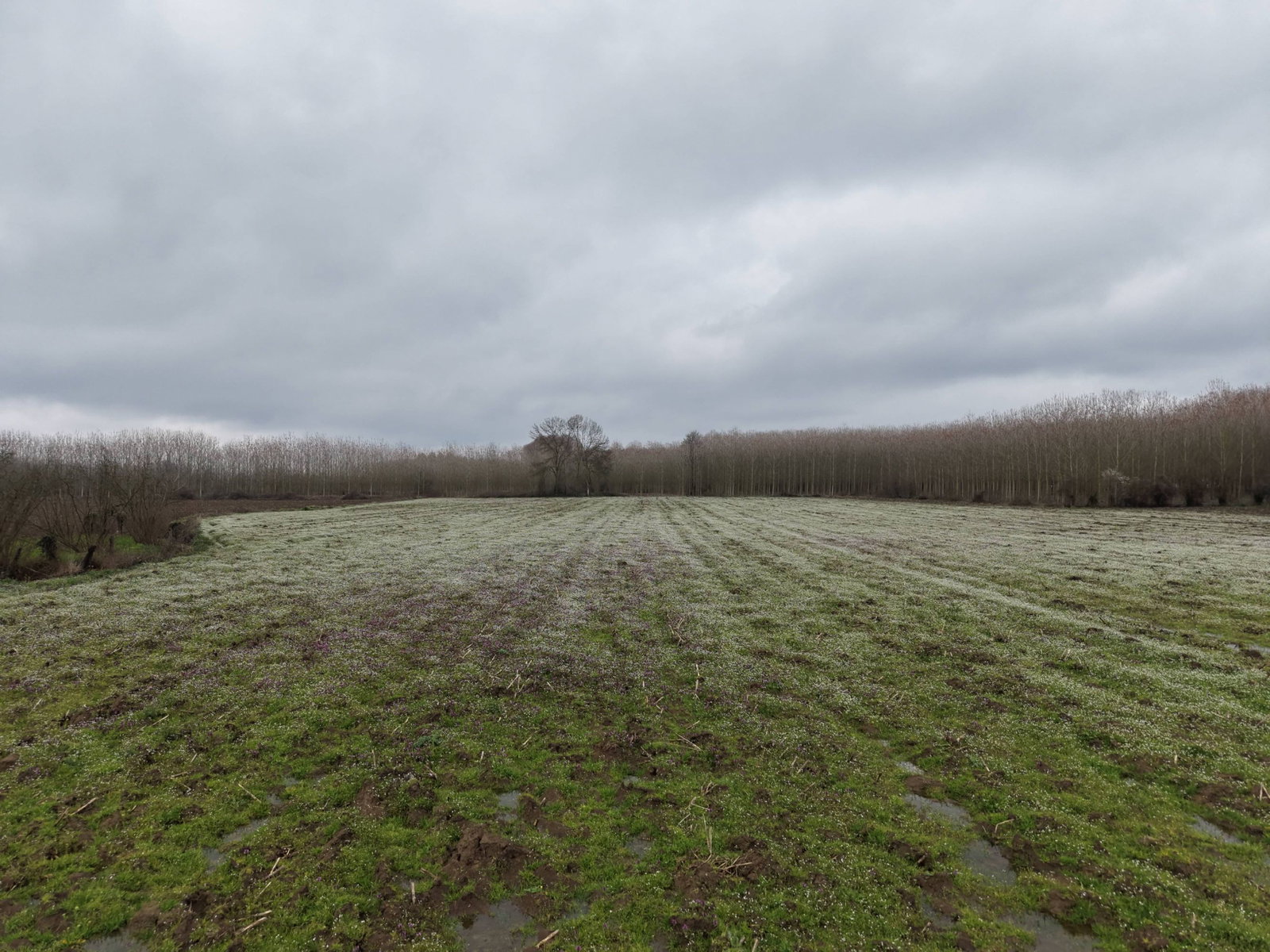 Satılık&nbsp;Arsa&nbsp;21,750,000&nbsp;TL