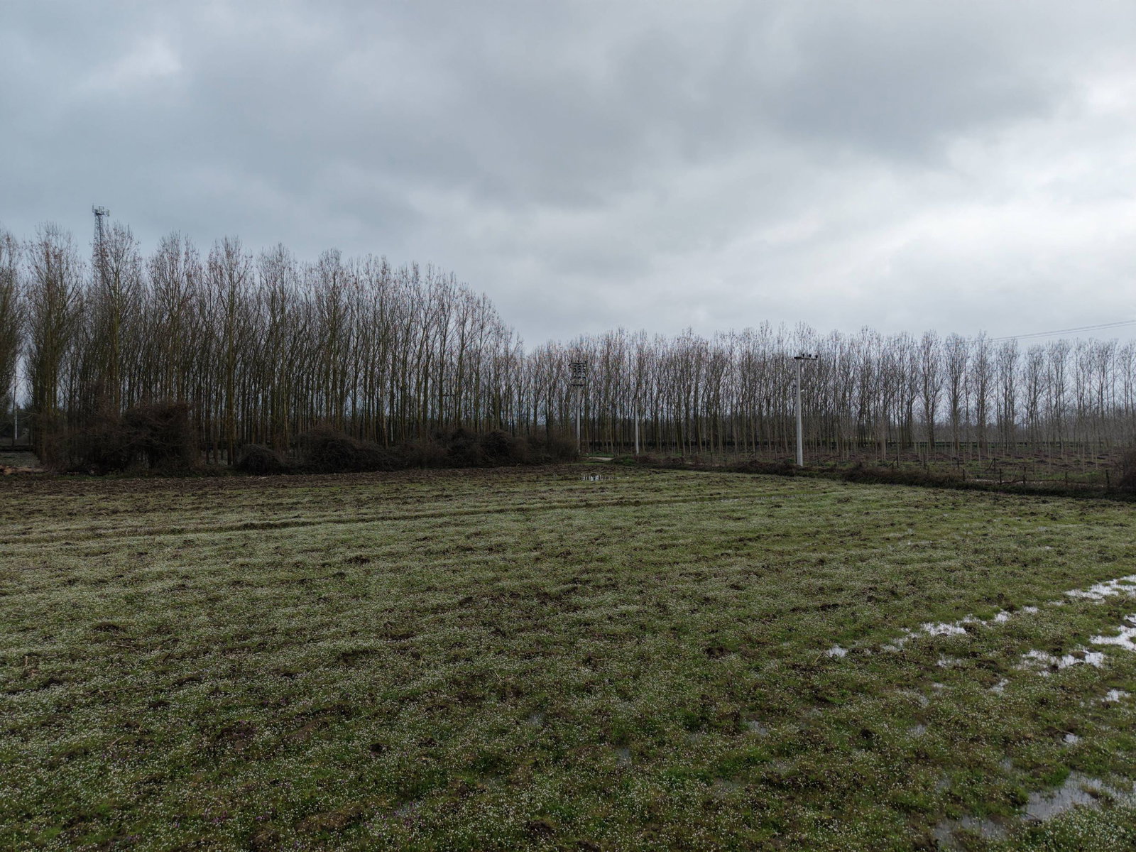 Satılık&nbsp;Arsa&nbsp;21,750,000&nbsp;TL