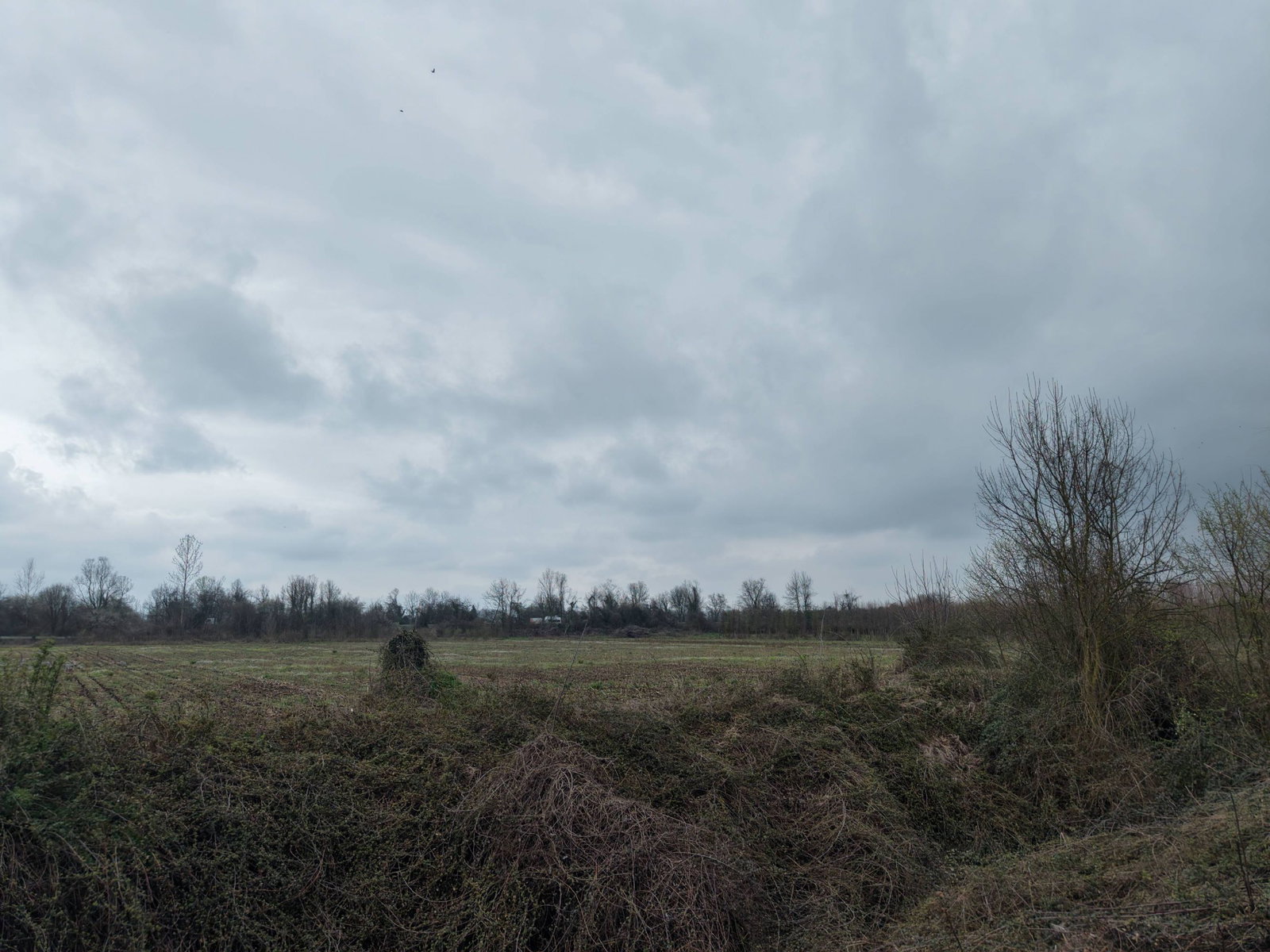 Satılık&nbsp;Arsa&nbsp;18,250,000&nbsp;TL