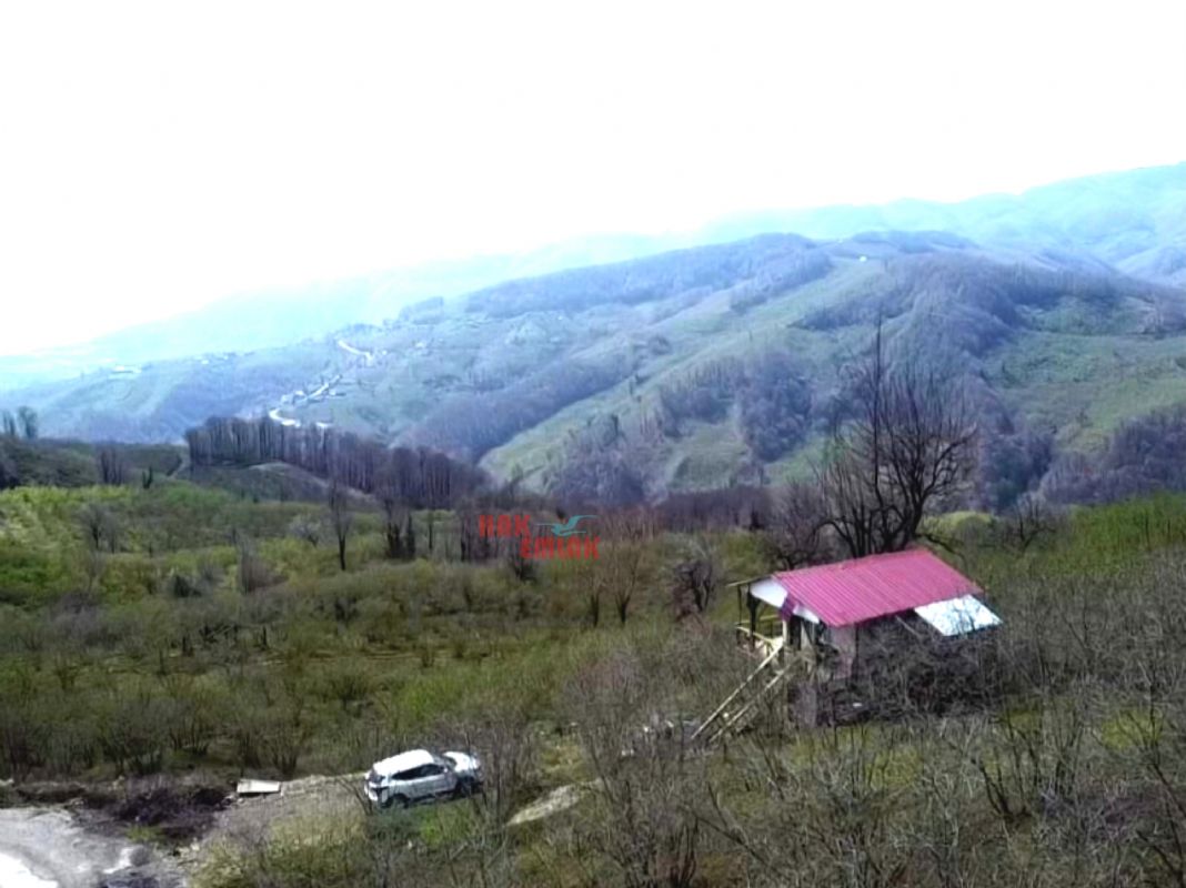 Satılık Fındıklık 3,000,000 TL