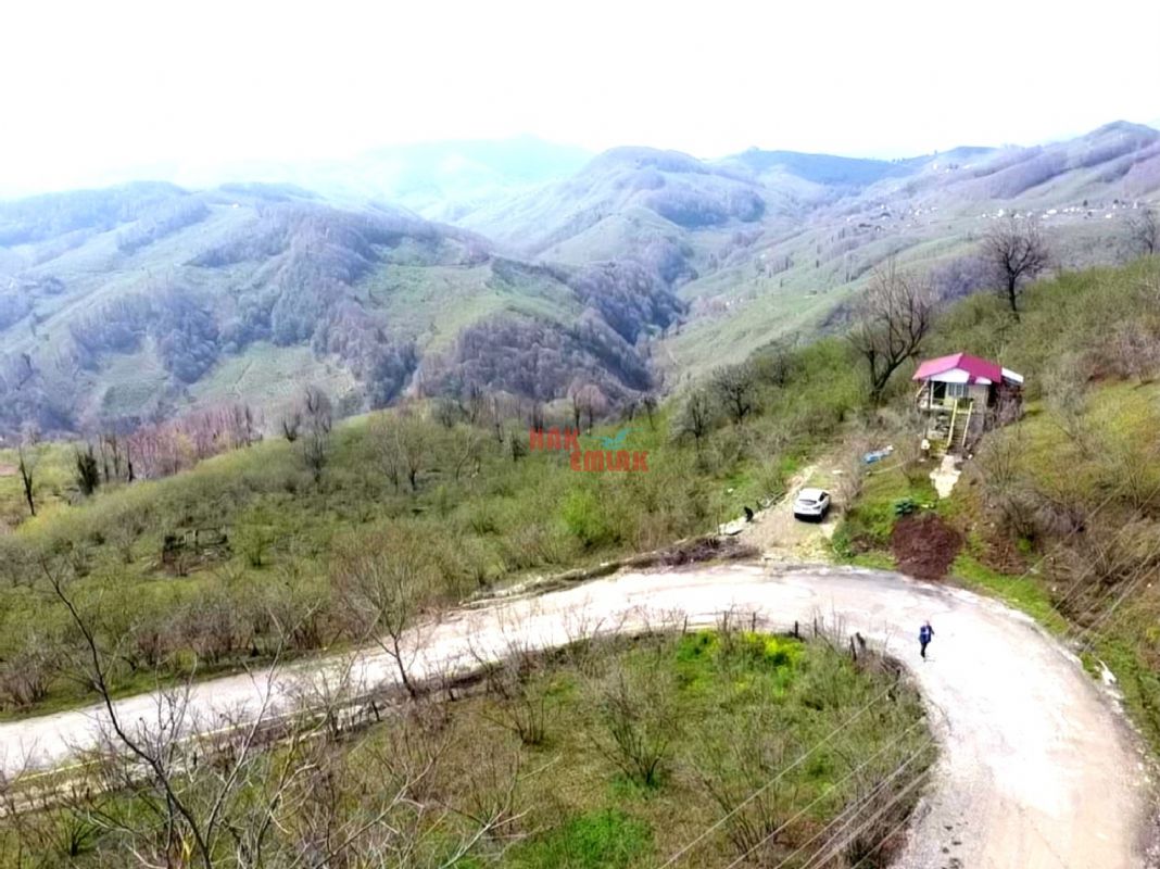 Satılık Fındıklık 3,000,000 TL