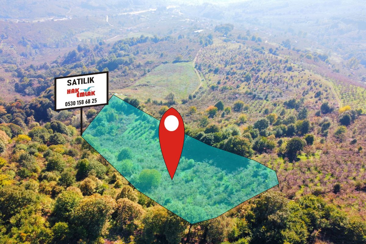 Satılık Arsa 3,100,000 TL