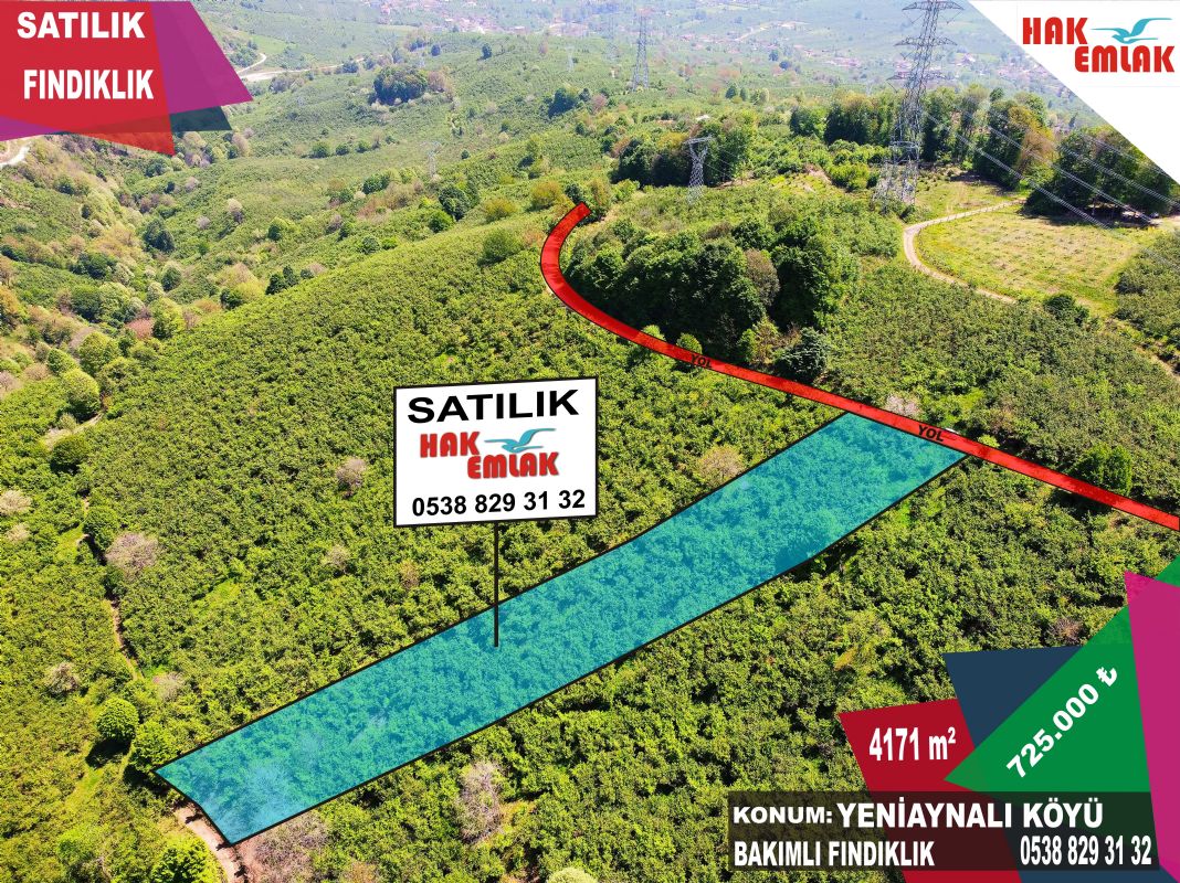Satılık Fındıklık 725,000 TL