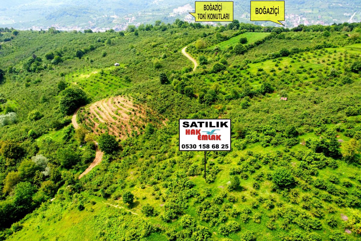 Satılık Fındıklık 689,000 TL