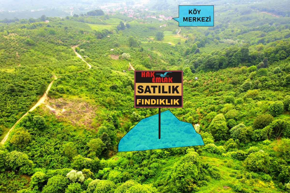 Satılık Fındıklık 898,000 TL