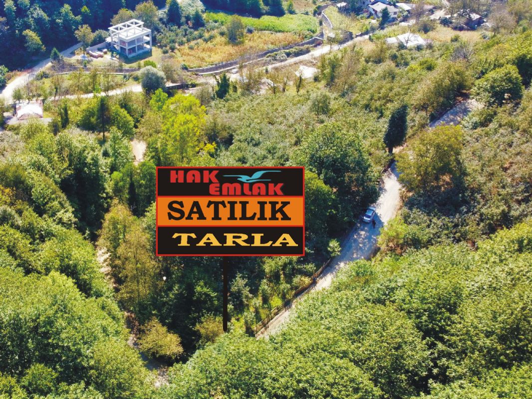 Satılık Fındıklık 340,000 TL