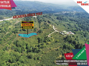 Düzce  Satılık  Arsa