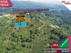 Düzce  Satılık  Arsa