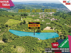 Düzce  Satılık  Arsa