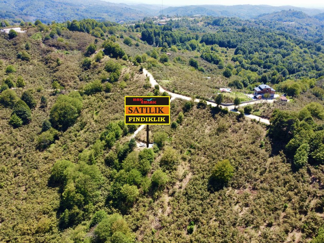 Satılık Fındıklık 2,290,000 TL