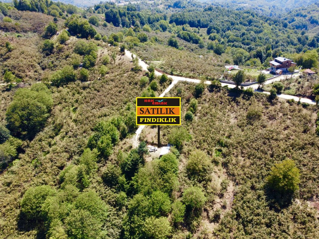 Satılık Fındıklık 2,290,000 TL