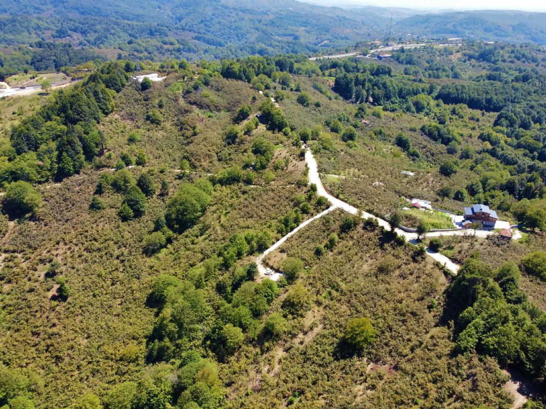 Satılık Fındıklık 2,290,000 TL
