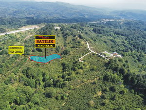 Düzce  Satılık  Arsa