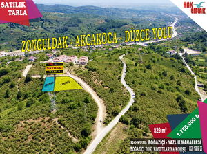 Düzce  Satılık  Tarım Arazisi