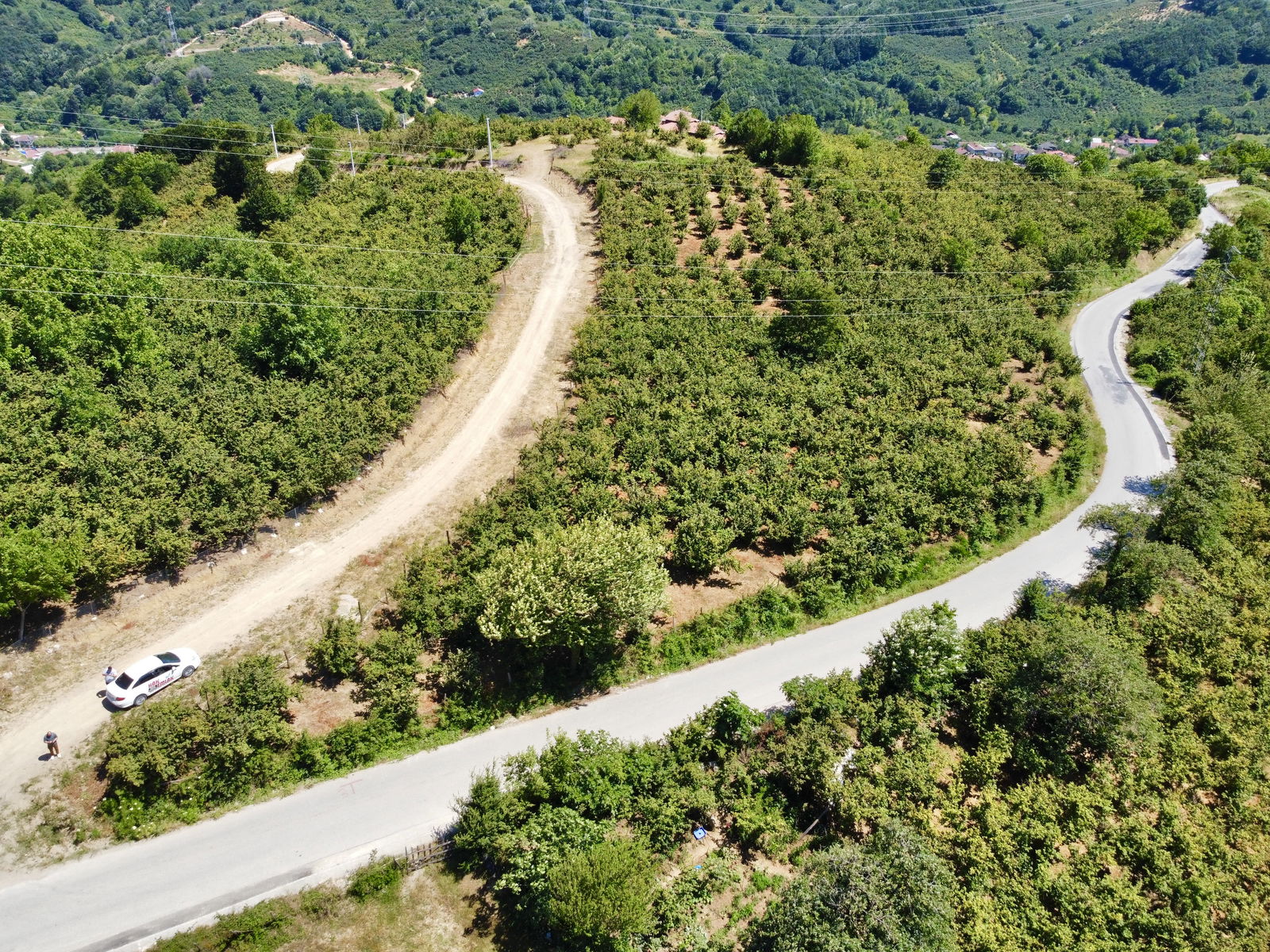 Satılık Tarım Arazisi 1,750,000 TL
