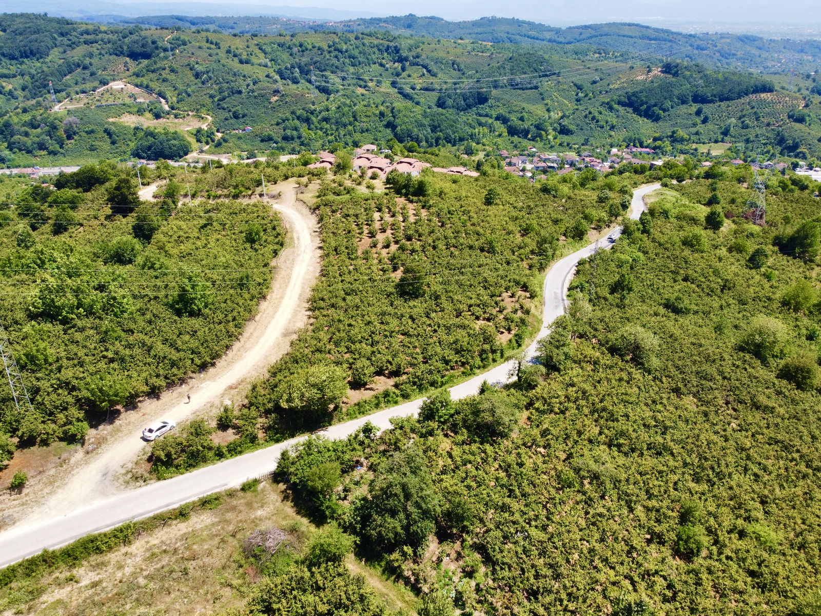 Satılık Tarım Arazisi 1,750,000 TL