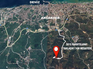 Düzce  Satılık  Fındıklık