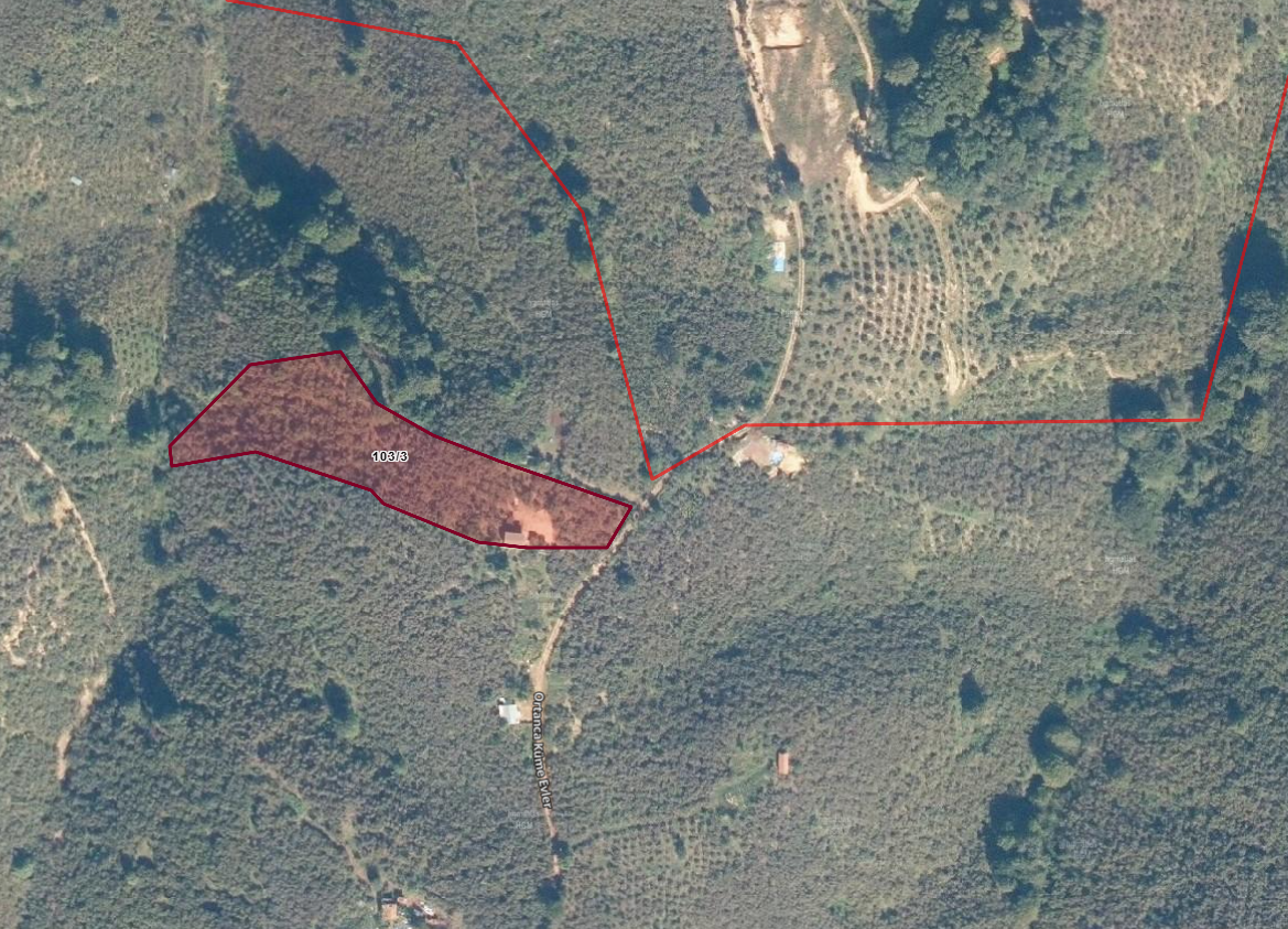 Satılık Fındıklık 4,000,000 TL