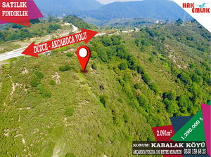 Düzce  Satılık  Arsa