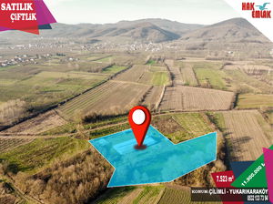 Düzce  Satılık  Çiftlik