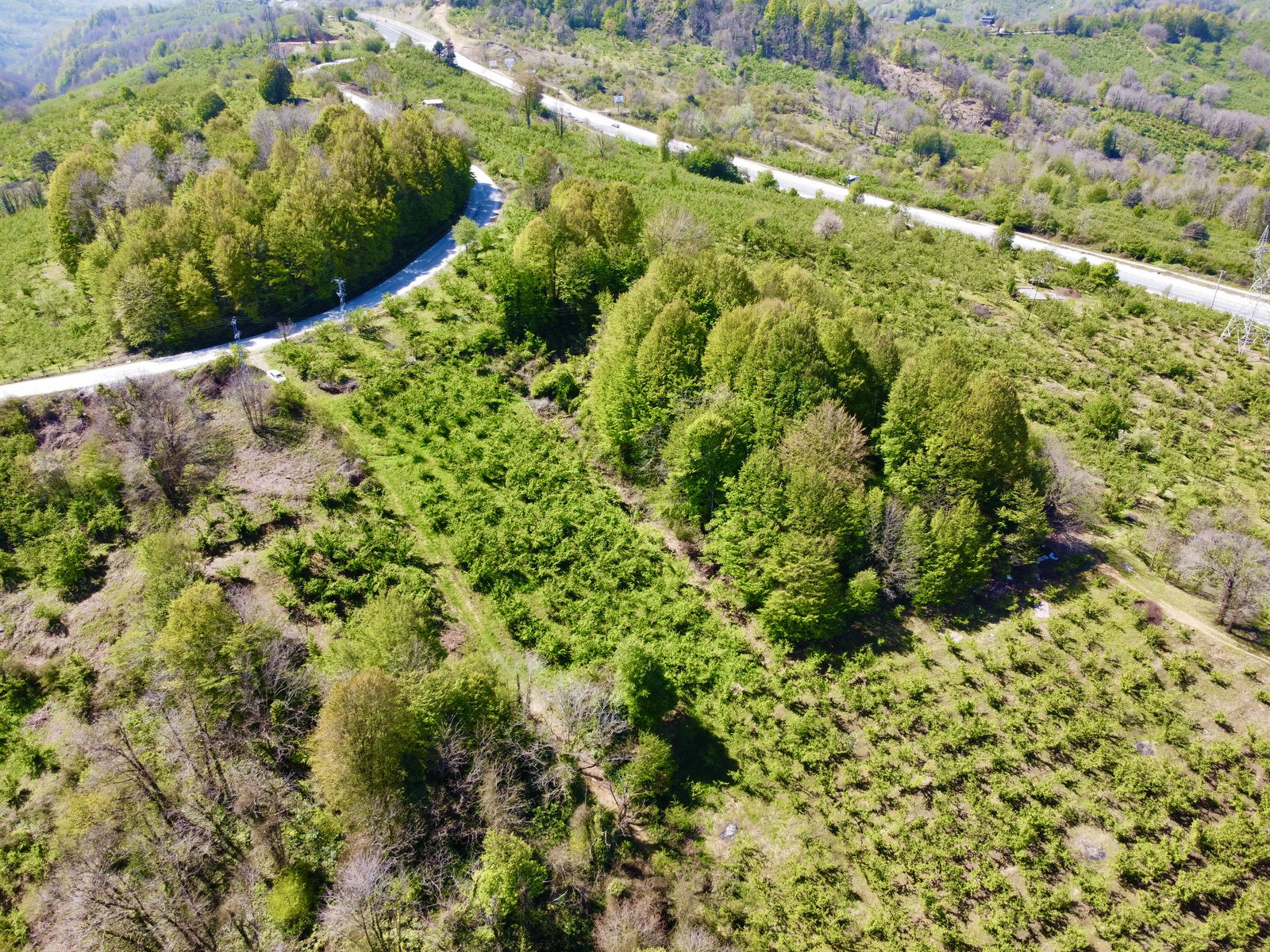 Satılık Fındıklık 1,350,000 TL