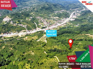 Düzce  Satılık  Fındıklık