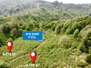 Düzce  Satılık  Fındıklık