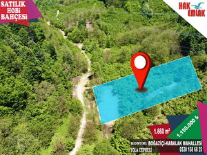 Düzce  Satılık  Fındıklık