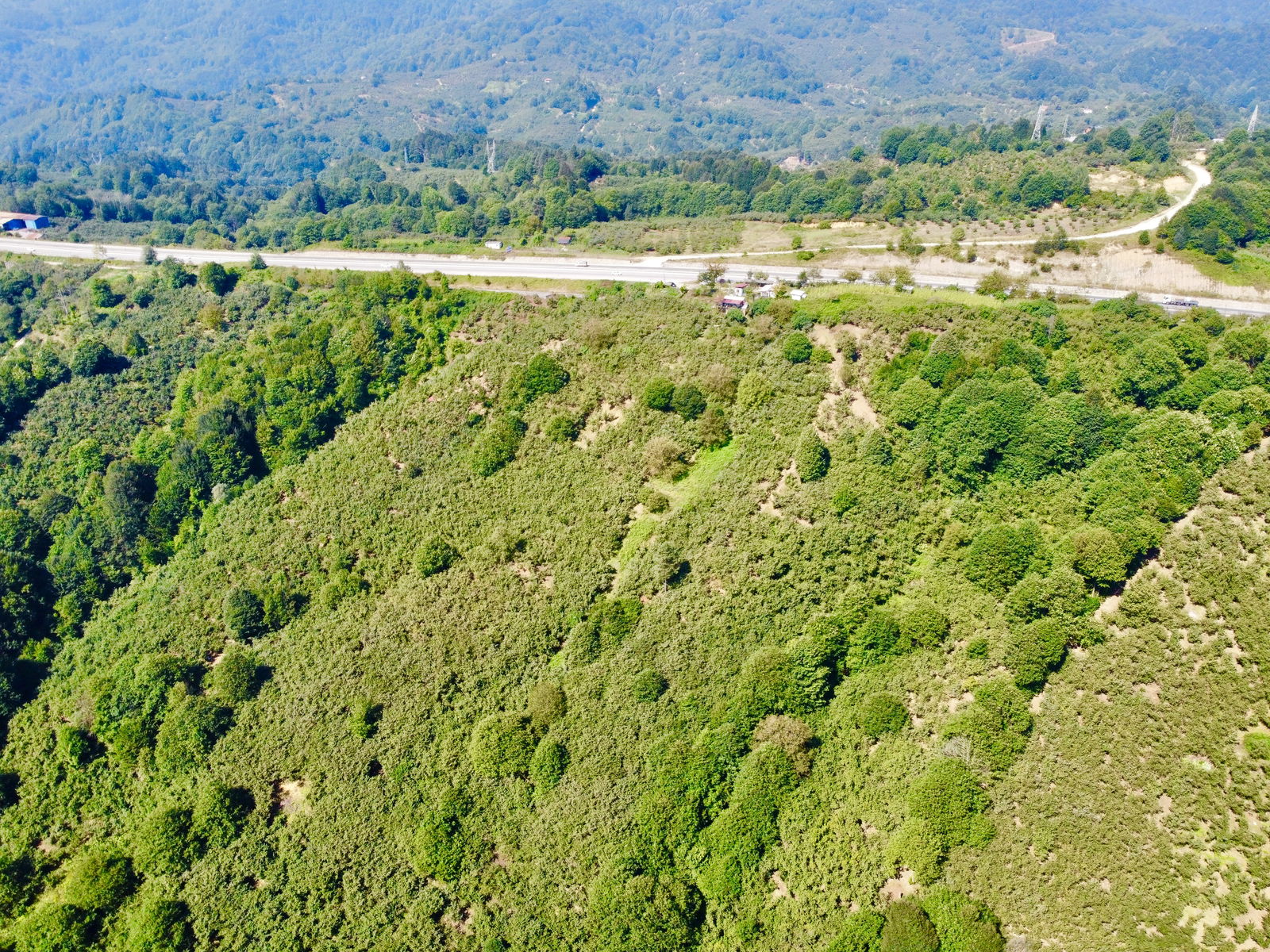 Satılık Fındıklık 5,750,000 TL