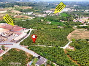 Düzce  Satılık  Arsa