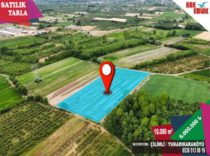 Düzce  Satılık  Arazi