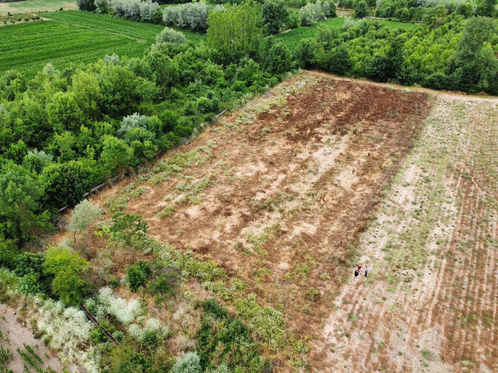 Satılık Arazi 3,000,000 TL