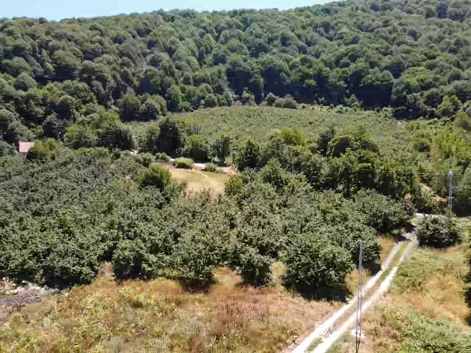 Satılık Arsa 4,300,000 TL