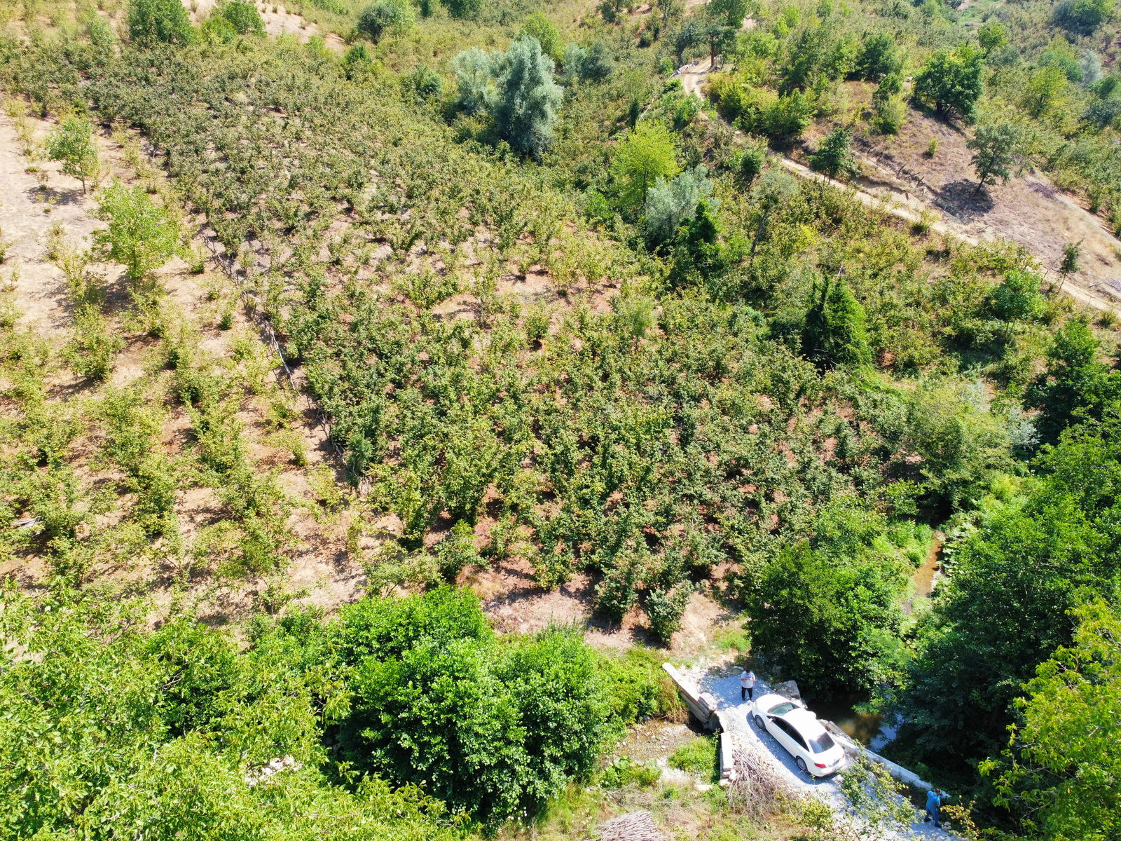 Satılık Fındıklık 3,200,000 TL