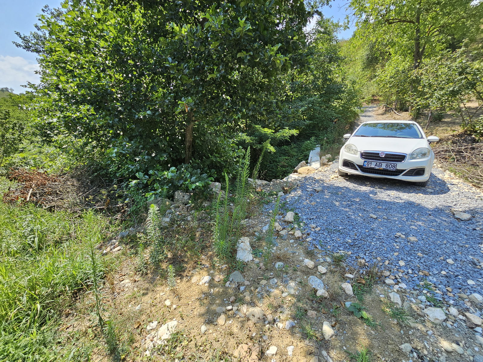 Satılık Fındıklık 3,200,000 TL