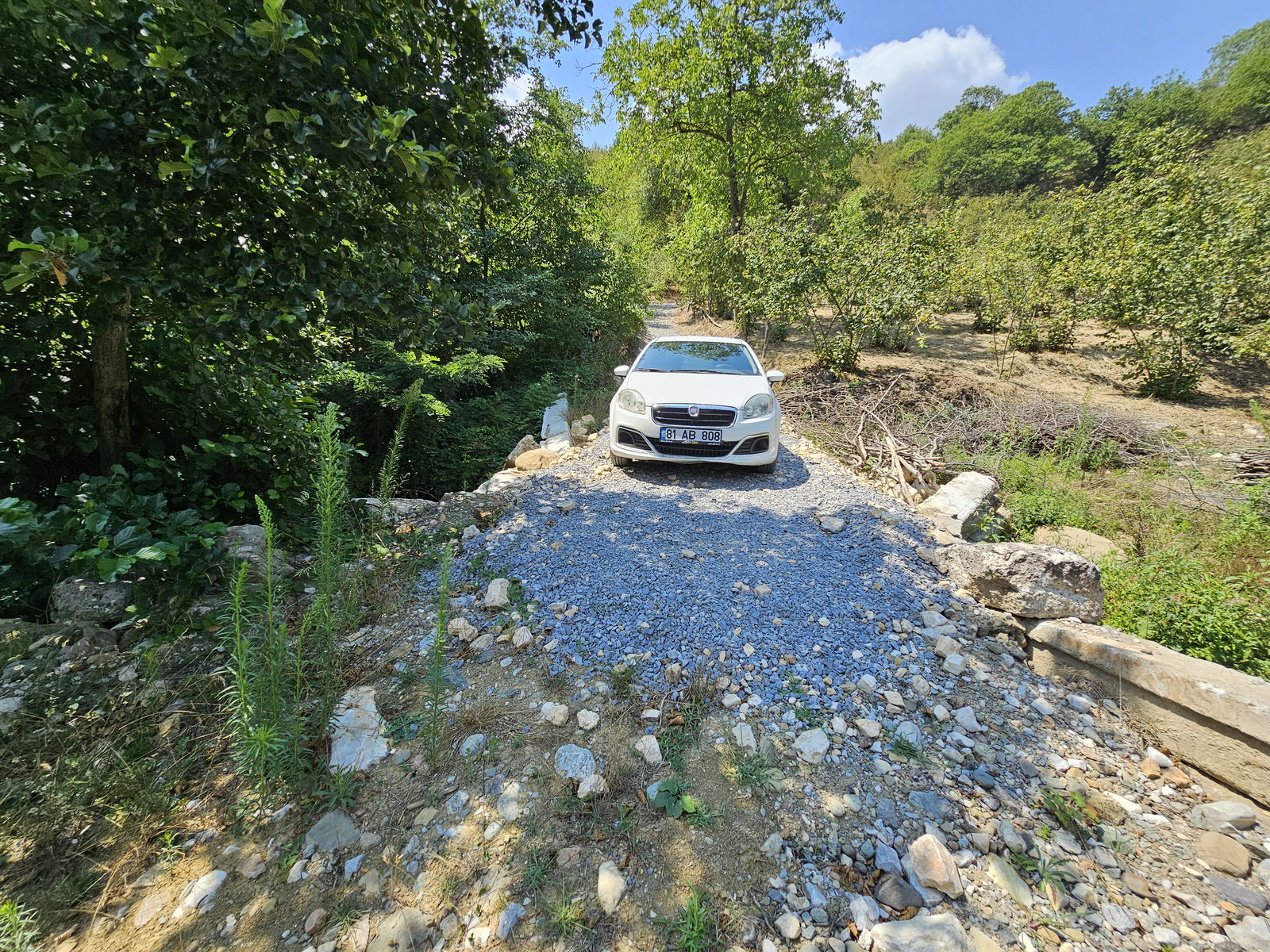 Satılık Fındıklık 3,200,000 TL