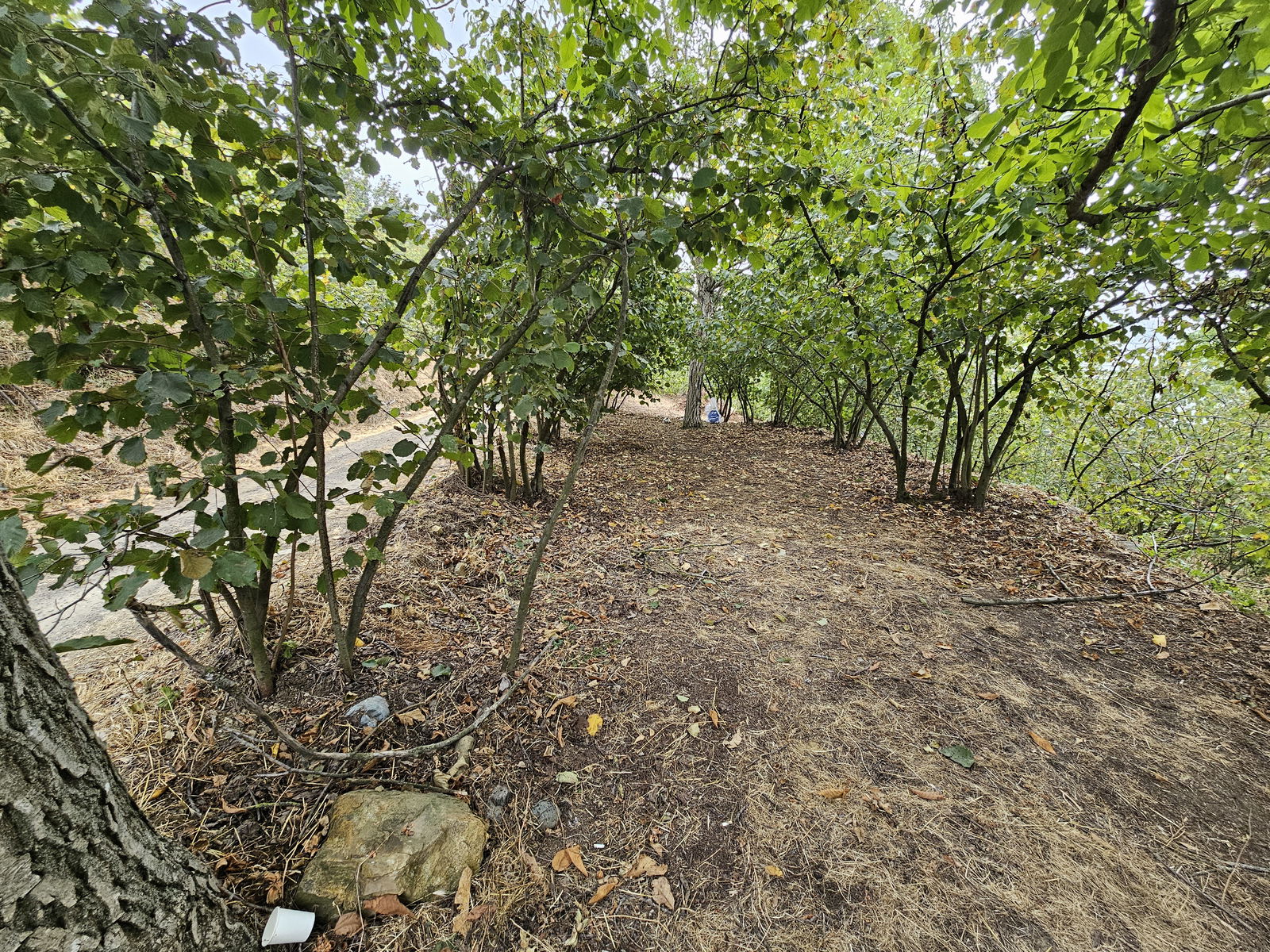 Satılık Fındıklık 2,950,000 TL