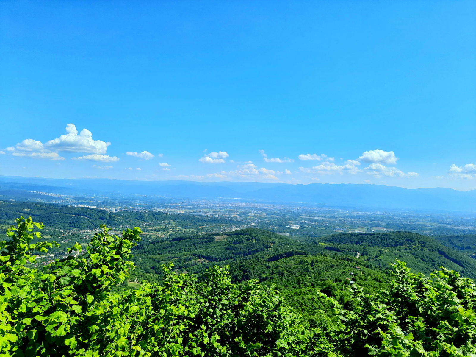 Satılık Fındıklık 1,450,000 TL