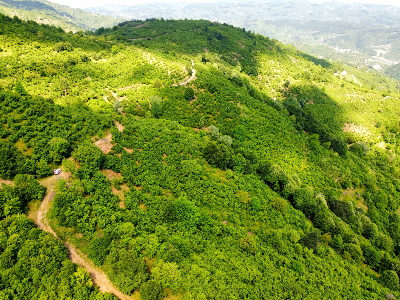 Satılık Fındıklık 1,450,000 TL