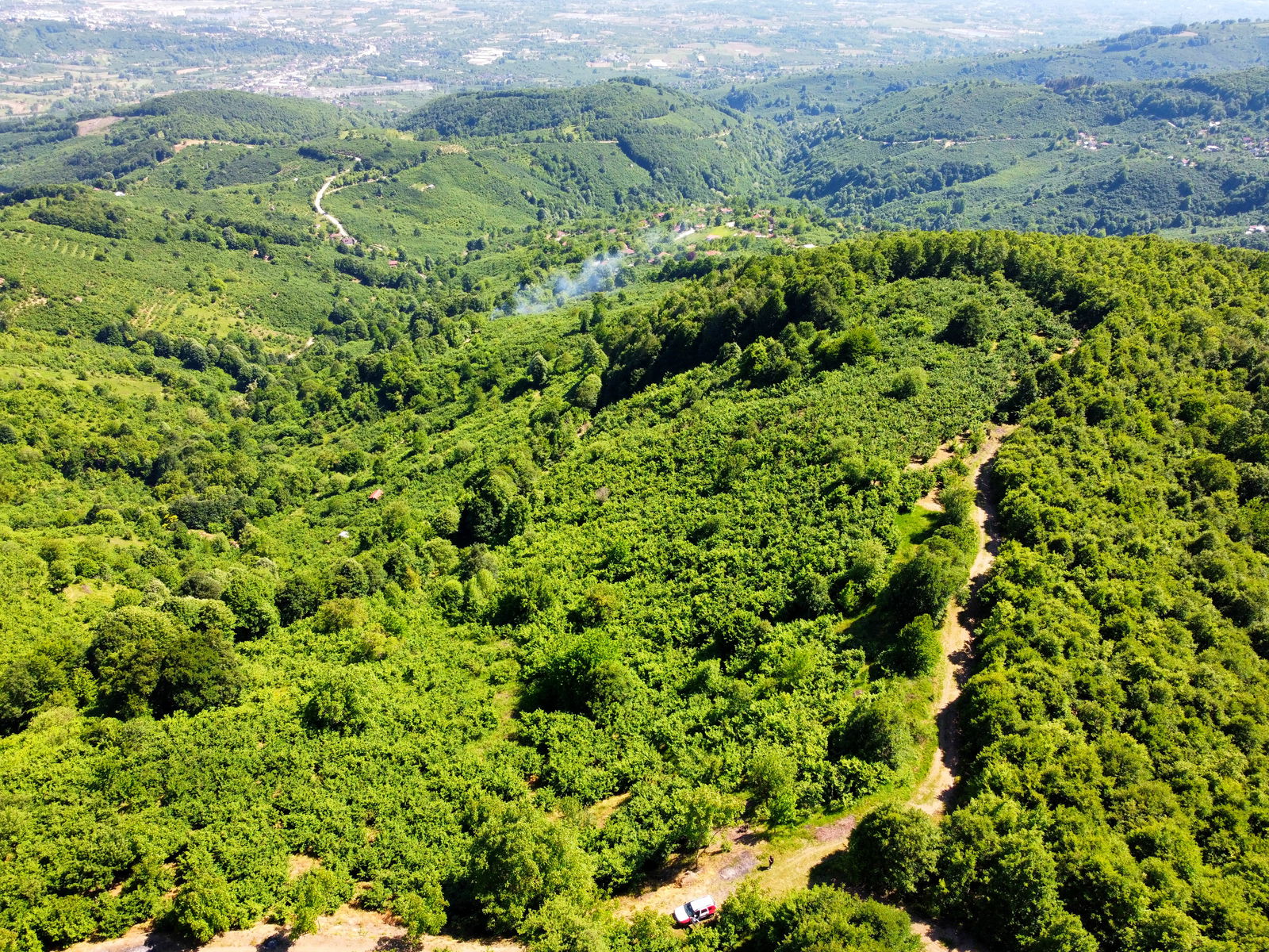 Satılık Fındıklık 1,450,000 TL