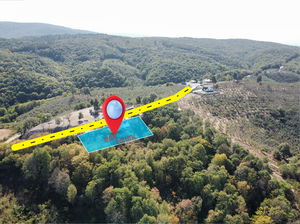 Düzce  Satılık  Müstakil Ev