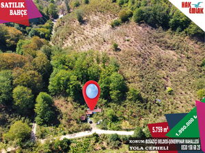 Düzce  Satılık  Fındıklık