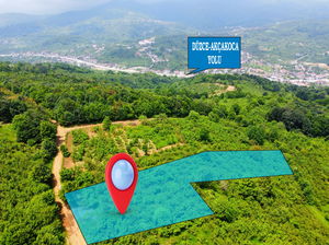 Düzce  Satılık  Fındıklık