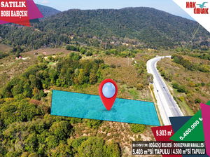 Düzce  Satılık  Fındıklık