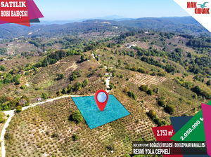 Düzce  Satılık  Fındıklık