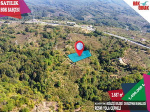 Düzce  Satılık  Fındıklık